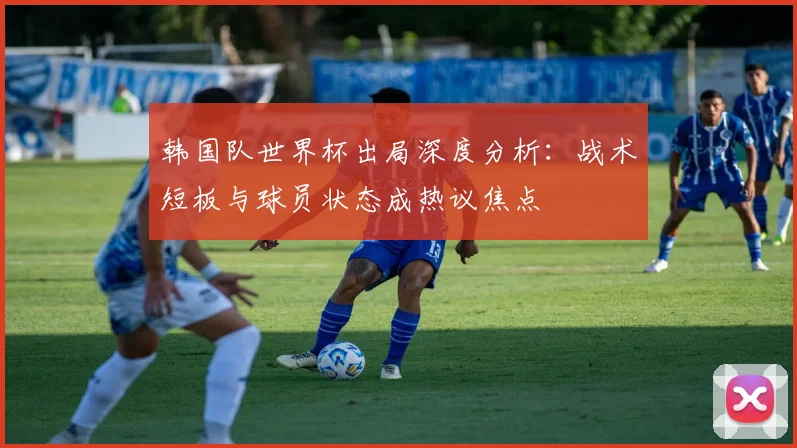 韩国队世界杯出局深度分析:战术短板与球员状态成热议焦点